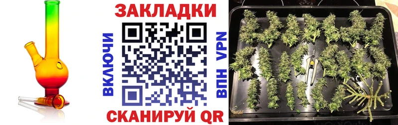 Купить наркотик Дмитровск Codein  АМФЕТАМИН  КОКАИН  ГАШИШ  Конопля  Мефедрон  Alpha PVP 