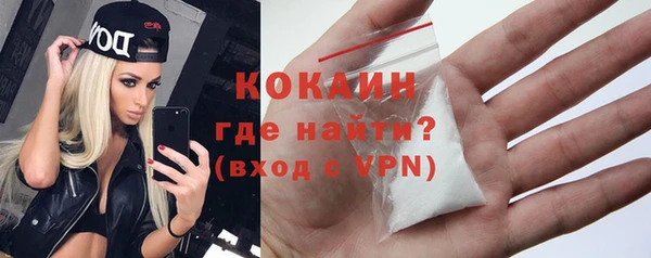 прущие грибы Медвежьегорск