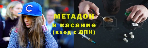 прущие грибы Медвежьегорск