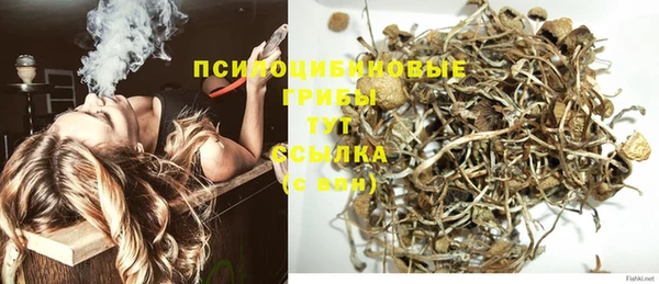тгк Медногорск