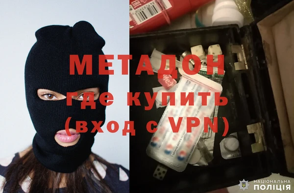 прущие грибы Медвежьегорск