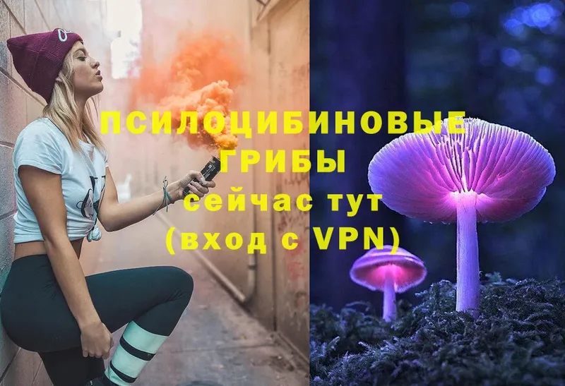 где найти наркотики  Дмитровск  Галлюциногенные грибы Magic Shrooms 