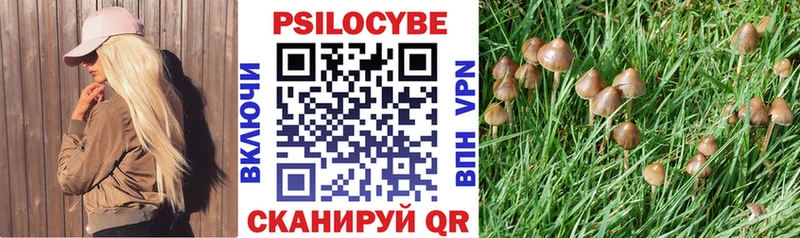 Псилоцибиновые грибы мухоморы  Дмитровск 